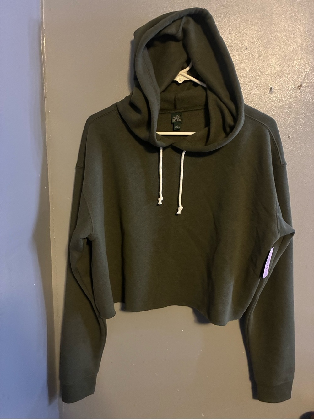 wild fable Cropped Hoodie in Olive